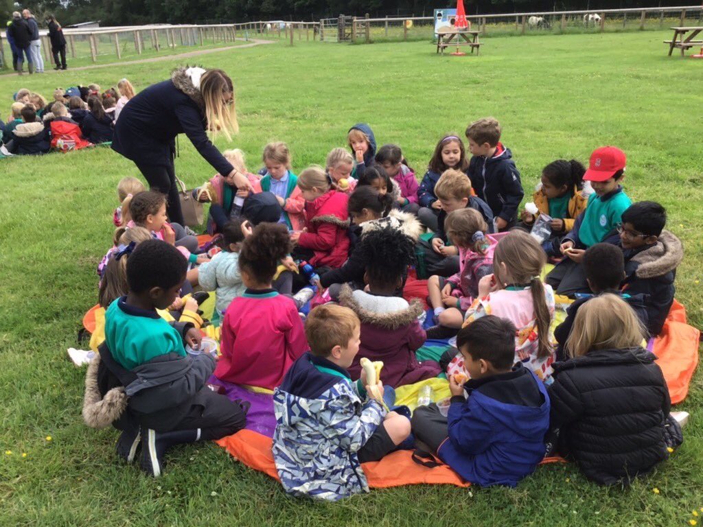 chantalorm's tweet photo. Our very first trip! Thrift farm was an absolute hit! The children were so excited to travel on a coach! #memorablelearning @LongMeadowSch https://t.co/R27iI1US0t