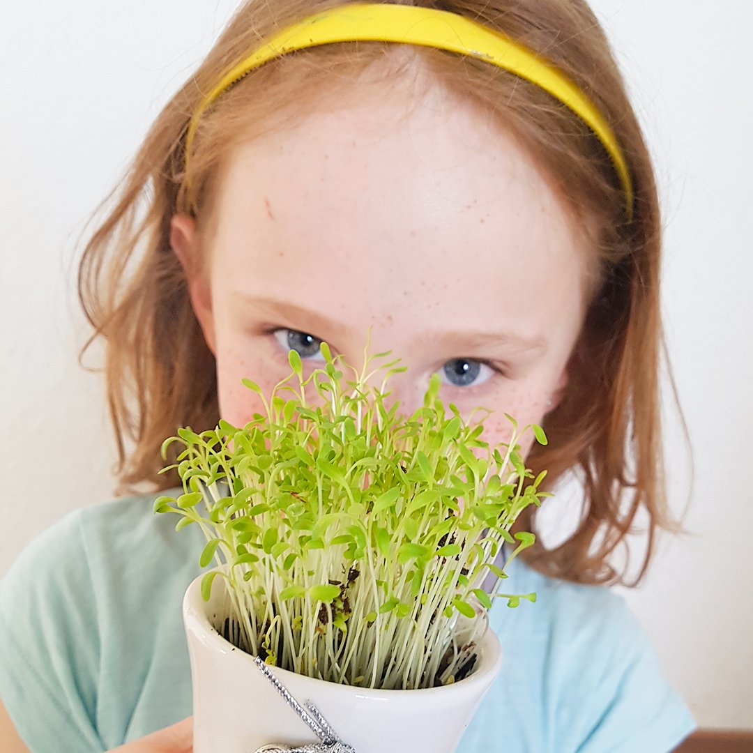 Als Kind haben wir alle große Träume. Im Laufe des Lebens geben wir diese wieder auf, weil uns unser Umfeld negativ beeinflusst.

Kennst du Sätze wie: "du kannst das nicht" oder "das haben vor dir schon andere versucht"?

Was du dir vorstellen kannst, kannst du auch erreichen.
