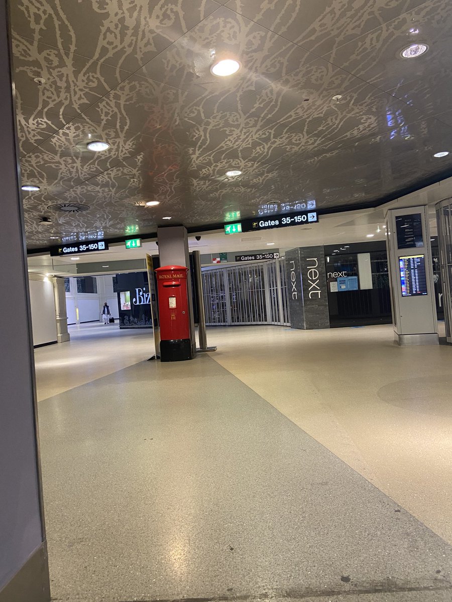 Wee Paddy tweet media