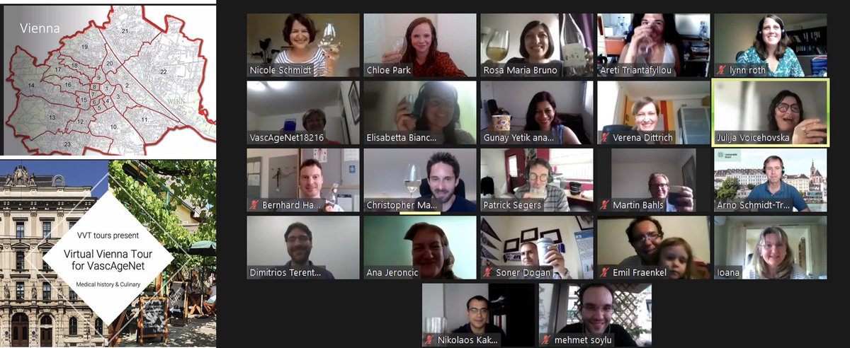 VascAgeNet's tweet photo. The virtual networking continues! Thank you for the virtual Vienna tour. https://t.co/gsvxKaMhFw