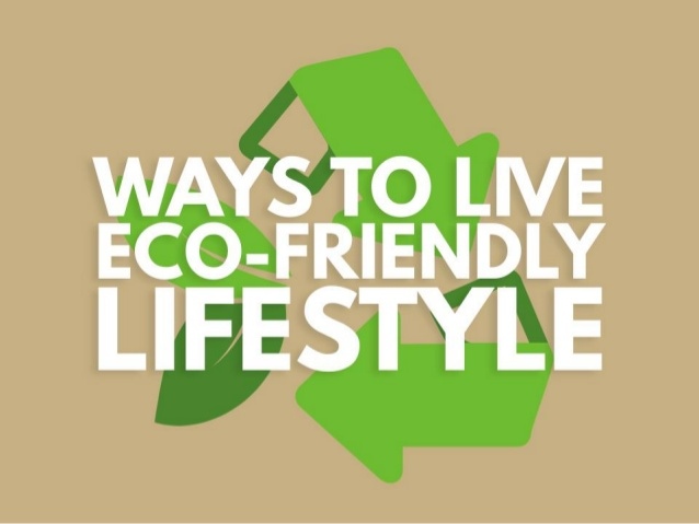 What are some of your favorite ways to live an eco-friendly lifestyle? 

#AliveExpo #SustainableLiving