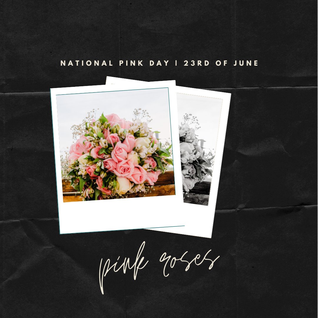 National Pink Day

Each year on June 23rd, National Pink Day colours the world in vibrant shades of pink and explores everything it represents.

#nationalpinkday #pinkflowers #pinkroses #weddingpinkroses #pinkcolour #pinkday