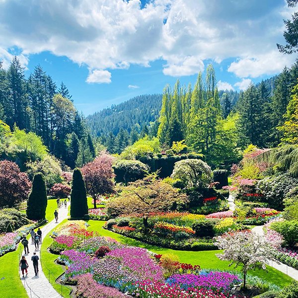 #CanadaChat A5. Greater Victoria has a vibrant coffee and pub culture, an amazing food scene, unique boutiques & shops, and outstanding hotels, tours and attractions. We love @DiscoveryCoffee, @AURAyyj, @FairmontEmpress & @butchartgardens. 📸: tarassnapshots at @butchartgardens