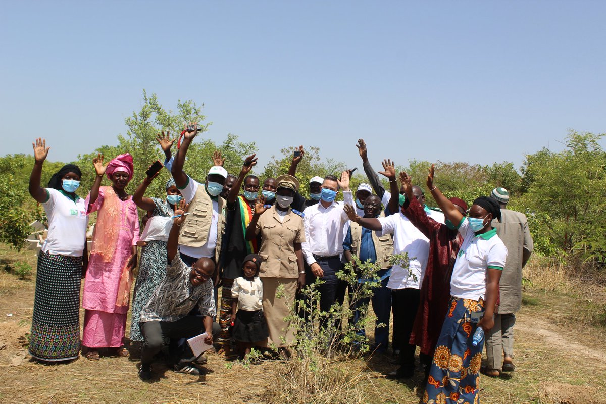 uk_mali's tweet photo. Notre ambassadeur @BarryLowen est allé à Wolodo et N'tjilla aujourd’hui voir un projet exécuté par l’ONG 🇬🇧 #TreeAid grâce auquel 1000 femmes 🇲🇱 ont bénéficié de renforcement de capacités pour diversifier leurs sources de revenus et planter 50.000 🌳. https://t.co/xypHMYyIxg