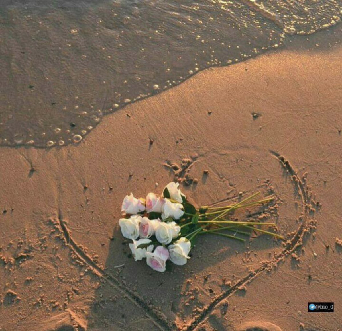 F5i1x's tweet photo. ﮼             لمَ أجد شَيئاً يَليقُ         
            بِلقَائكِ ولأنّي كُنتُ علىٰ                
         عَجل جَئتُكِ مُرتَدياً قَلبِي !
          مساء الخير 🌸🎼 https://t.co/XbCz1UHDCO