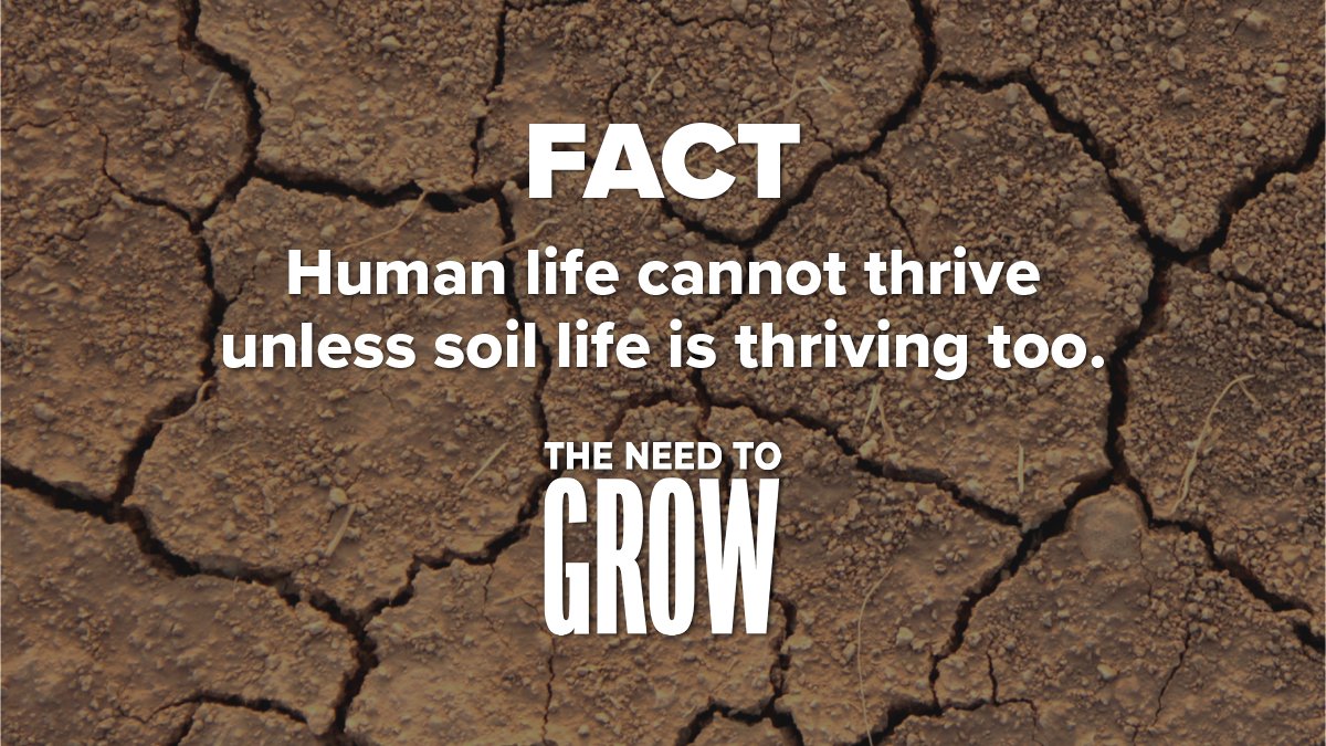 AFoodRevolution's tweet photo. How do we heal people and the planet at the same time? Focus on regenerating our soils! 🌱
#TheNeedToGROW showcases solutions to help save our soil and help our planet (and its people) thrive. Watch it FREE here: https://t.co/uvyuVjqPiK https://t.co/BOxllG96Ej