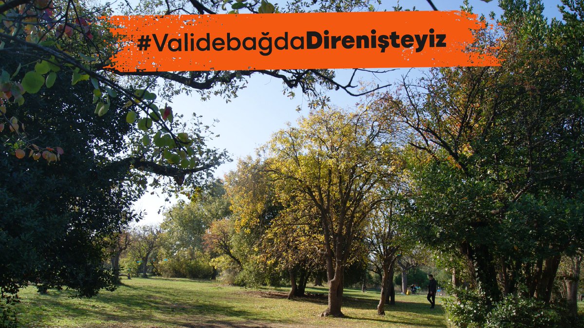 Validebağ Korusu, bu filmi daha önce de gördü. Otopark için geldiler, izin vermedik, kaçak av köşkünün inşaatı için geldiler ona da dur dedik. Şimdi başka bir projeyle karşımızdalar ve biz dün neredeysek bugün oradayız. #ValidebağdaDirenişteyiz.