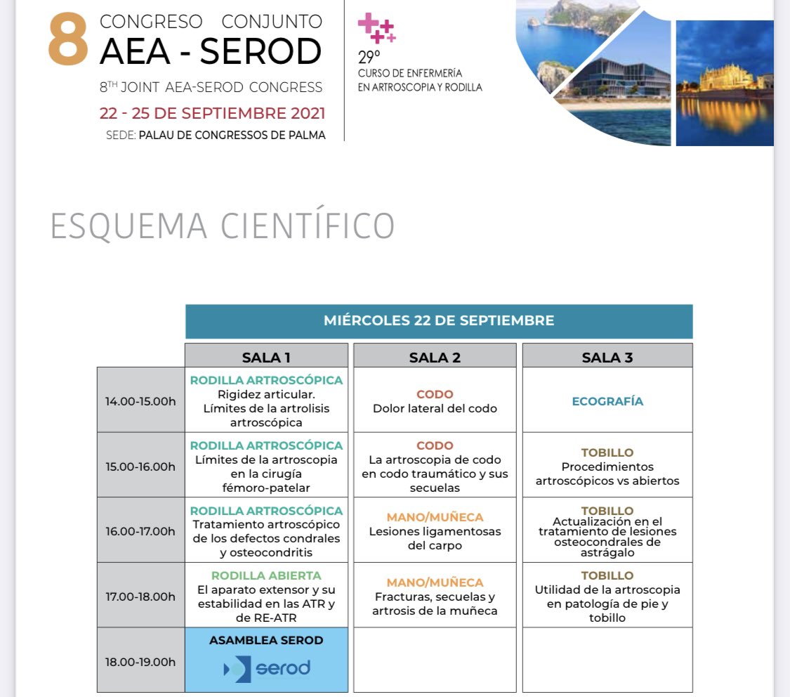 aeartroscopia's tweet photo. 🟣CONGRESO AEA-SEROD 2021🟣

▪️ 8º CONGRESO AEA-SEROD
▪️Sede Mallorca
▪️22-25 de septiembre de 2021

‼️CONOCE TODO EL PROGRAMA CIENTÍFICO EN EL ENLACE‼️

https://t.co/LXL0ujxRQC https://t.co/2wXlqSUCGy
