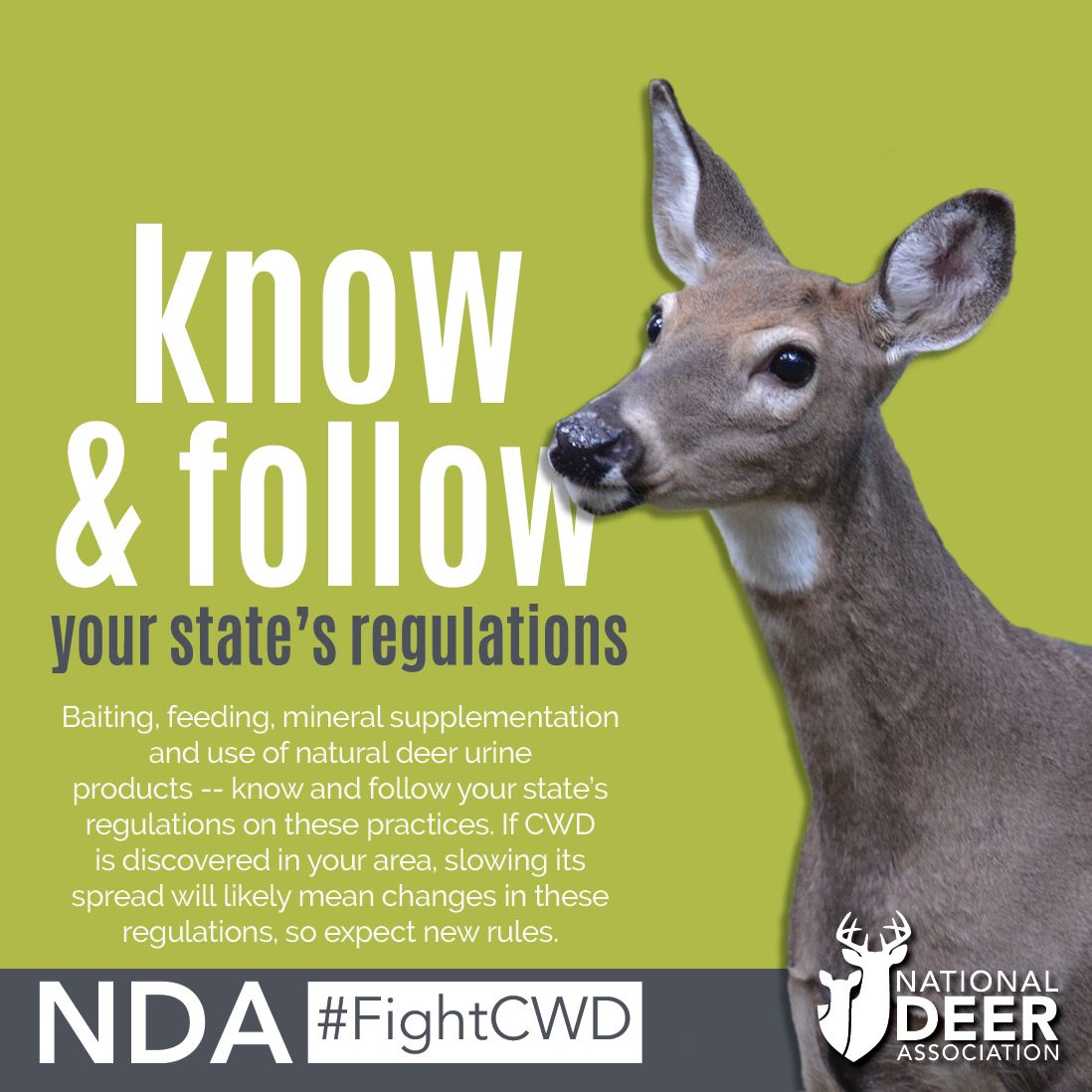 deerassociation's tweet photo. It's important to know and follow your state's regulations regarding chronic wasting disease (CWD). Together we can #FightCWD https://t.co/UFlra9tKBp
