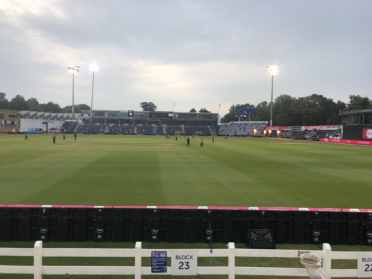 Alison Bisping tweet media