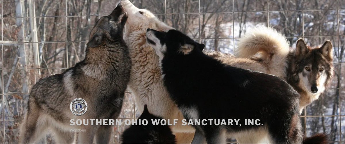 Axion DAO tweet media