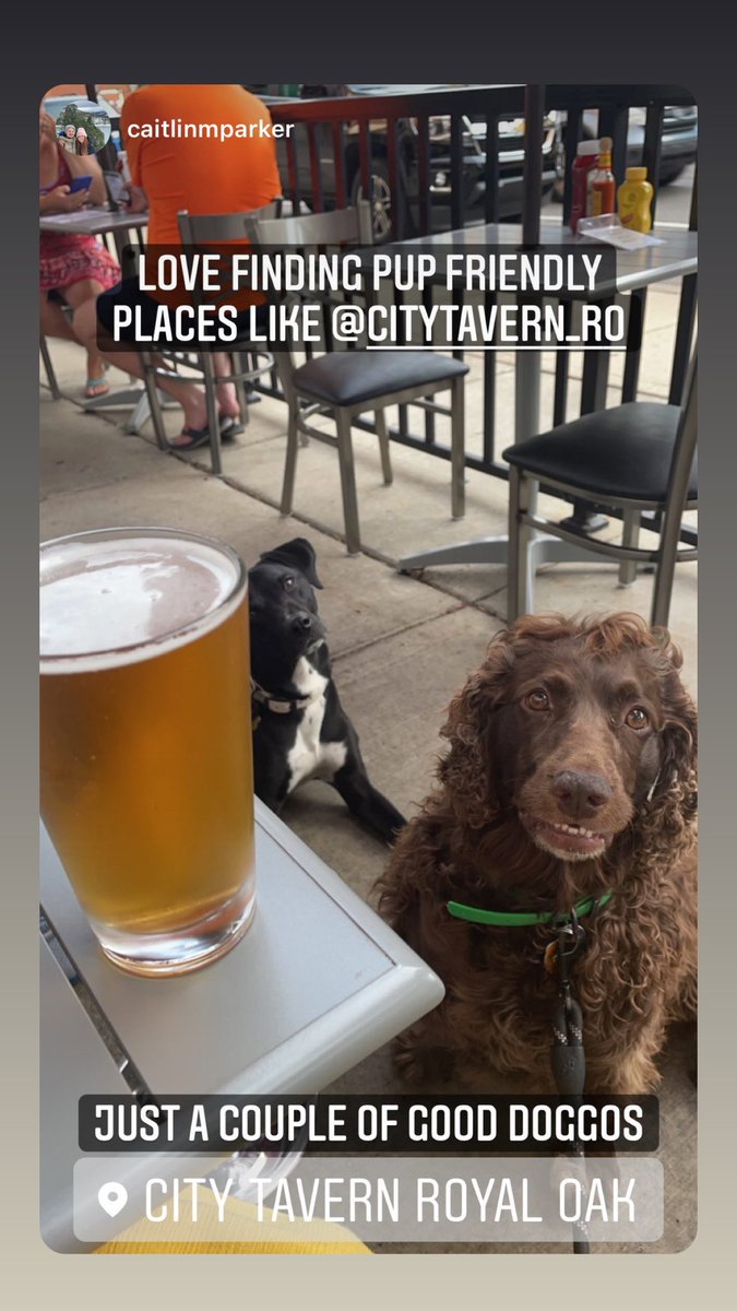 City Tavern Kitchen & Bar tweet media