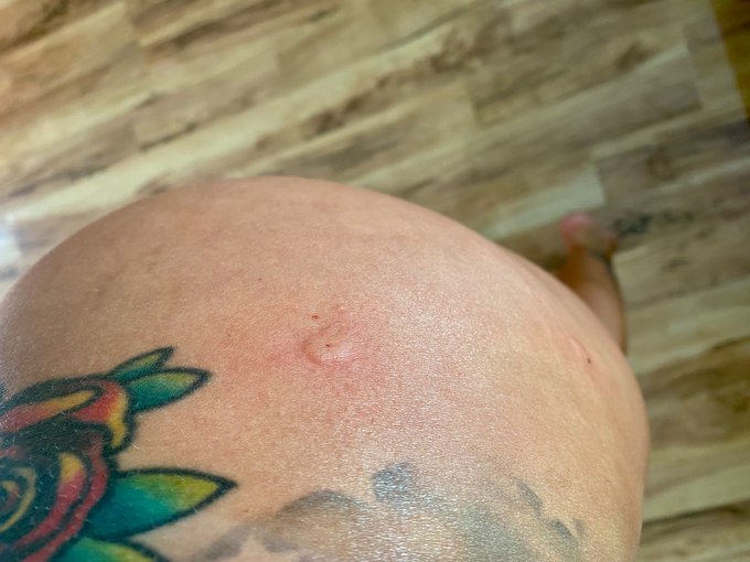 Clearly my girls 🐝 weren&rsquo;t a fan of my workout leggings this morning and were in some sort of mood. 5<a href="/tag/beekeeper"class="tags"><span>#beekeeper</span></a>