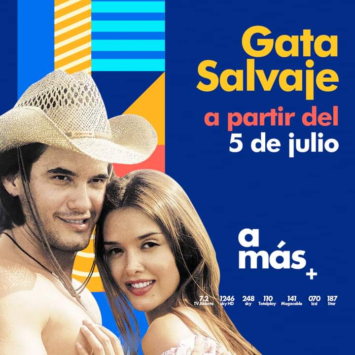 mundonoveleroof's tweet photo. #GataSalvaje gran estreno este 5 de julio por la pantalla del Canal @amastv
@marlenefavela_ @MarioCimarro
@carolinatejera_ @AdamariLopez @ALopezPadilla @MarjoDSousa @crissgeithner @anakcasanova @laondiviela @sergiocatalan17 @IsmaelLaRosa @virna_flores @DianaQuijanoV https://t.co/5gEPOwnVA7