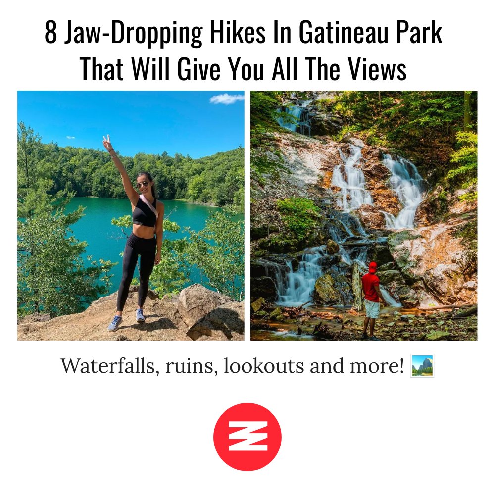 8 Jaw-Dropping Hikes In Gatineau Park That Will Give You All The Views

Full Article Here! 👉 nar.city/gq1

#NarcityCanada
#CanadaNews
#Canada