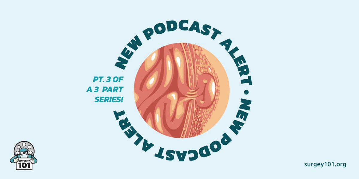 surgery_101's tweet photo. 🚨 #NewPodcast alert! Our newest #Surgery101 podcast episode is up on our website &amp; app!

Lumbar Hernias round out our 💪 #Hernia series: https://t.co/5NXUibj5HU

Thanks to our new followers for joining the #Surgery101Community!
#MedEd #MedEdTwitter #SurgEd #OpenSource https://t.co/rWGxgKVEGP