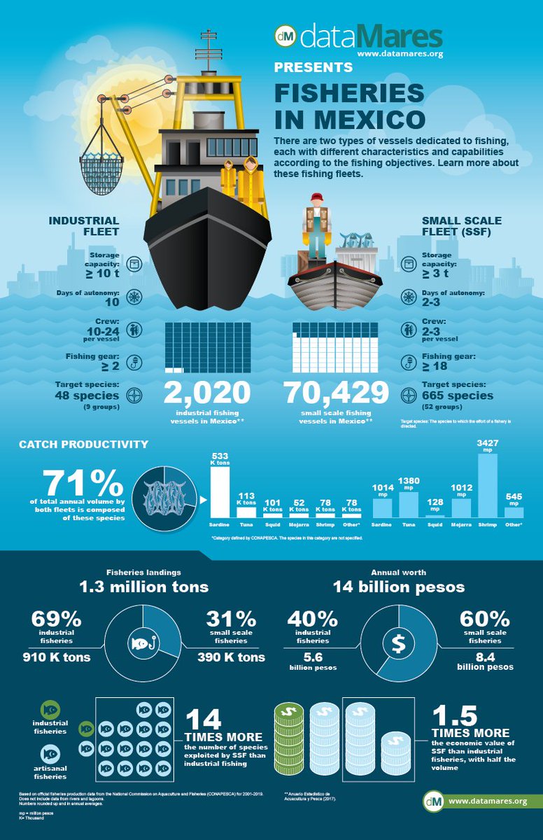 dataMares's tweet image. Mexico&apos;s fishing sector contributes to the country&apos;s economy &amp;amp; food supply. The SSF fleet produces about 31% of the landings, but this represents approx 60% of the fisheries&apos; economic value.
📌 Download the #dataGraphic here: datamares.ucsd.edu/datagraphics/

#dataSaturday #dataviz
