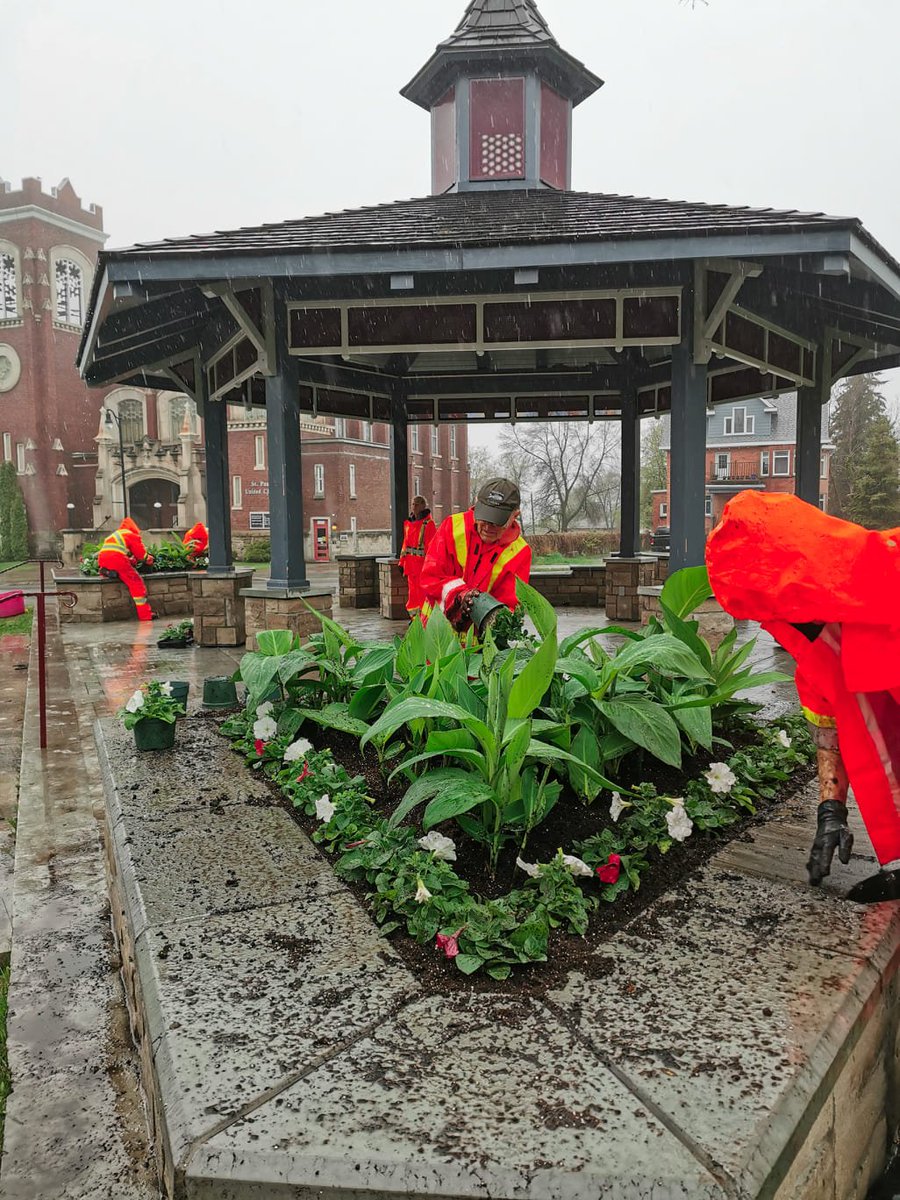 friendsTBcon's tweet photo. June 23 is United Nations Public Service Day. Thank you to everyone working in the public sector to make #ThunderBay a better city for us all, today and everyday.
#TBayLovin #TBay #PublicServants #PublicServiceDay #CleanGreenAndBeautiful #CivicPride #GrowingTogether https://t.co/KkzRK9QHAk