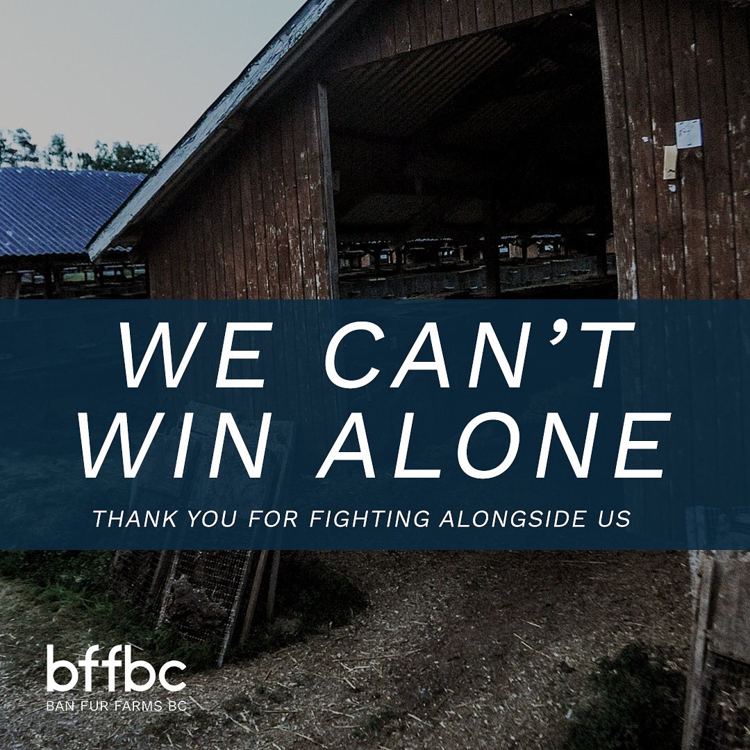 We want to express our gratitude towards those who are also fighting to ban fur farms in BC, specifically: <a href="/FurBearers/">The Fur-Bearers</a> <a href="/UBCIC/">UBCIC</a> <a href="/VanHumane/">Vancouver Humane Society</a> @FactoryFarmCLV

Together, through all our combined efforts, we WILL achieve a ban on fur farming in BC, and beyond.

#BanFurFarmsBC
