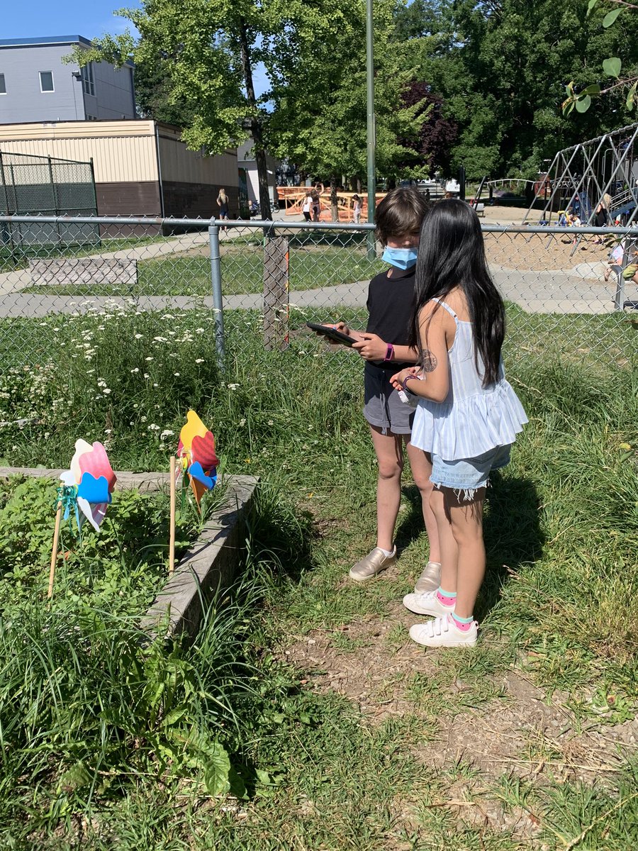 KLirenman's tweet photo. Such fun to watch my students explore photography with lessons inspired by @davecaleb and @gurjitpattar. @LivingstoneVSB https://t.co/ji0NqbZYam