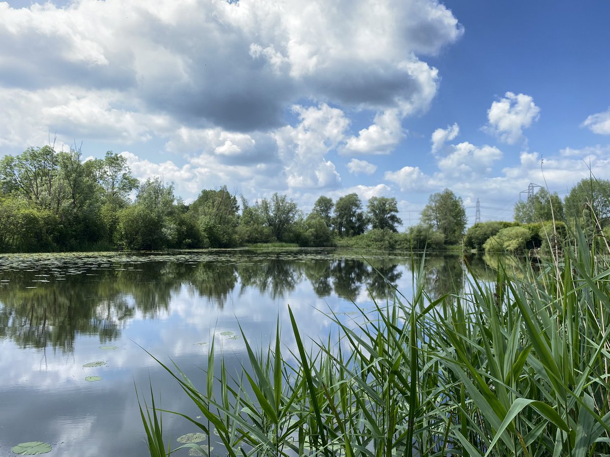 Back in the office for 24 hours