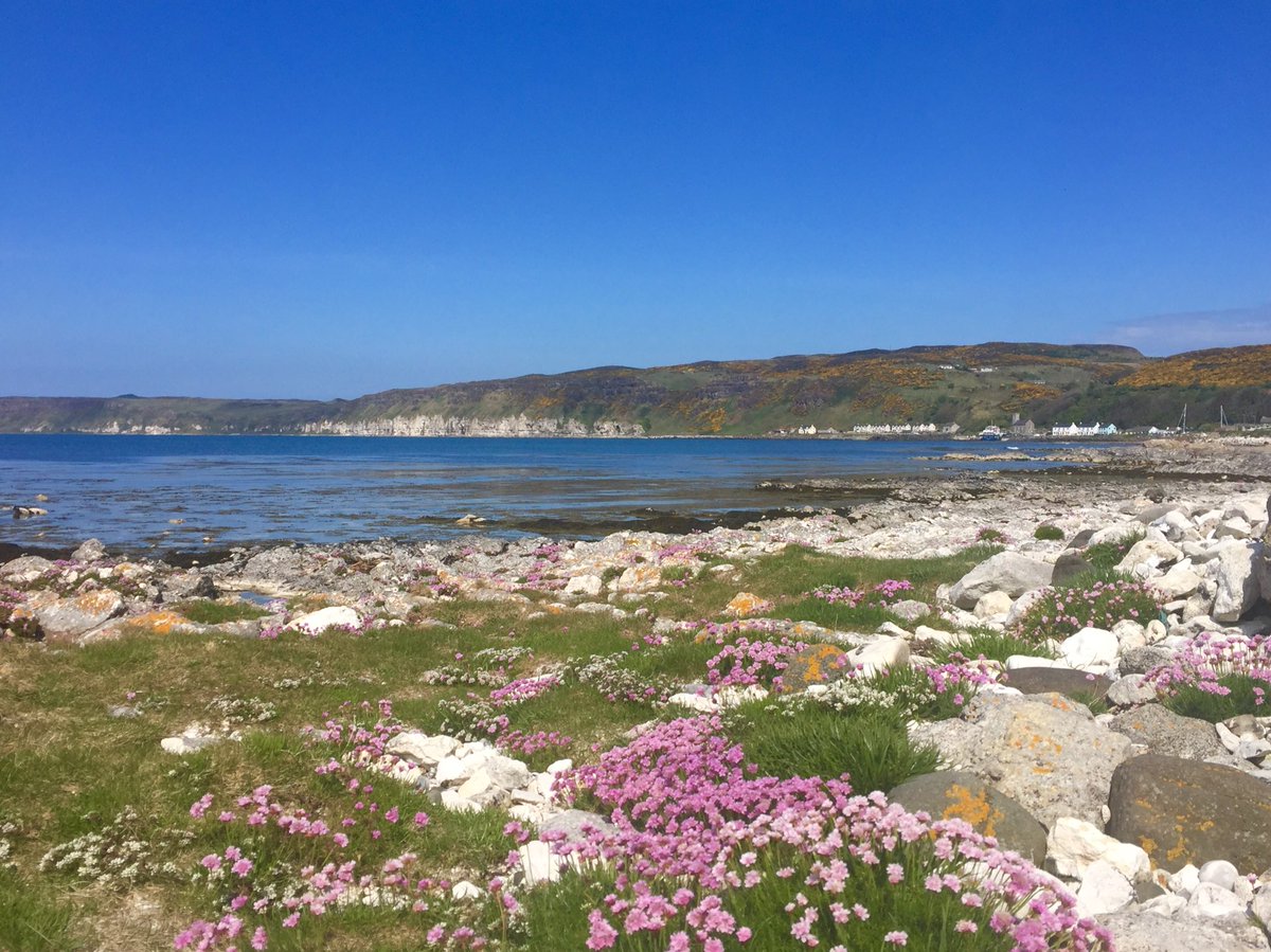 🌟 GREAT NEWS.........
Our online booking system will go live at 12 noon Thursday 24th June. The link will be available on our website. ⛴ 🏖 🐬