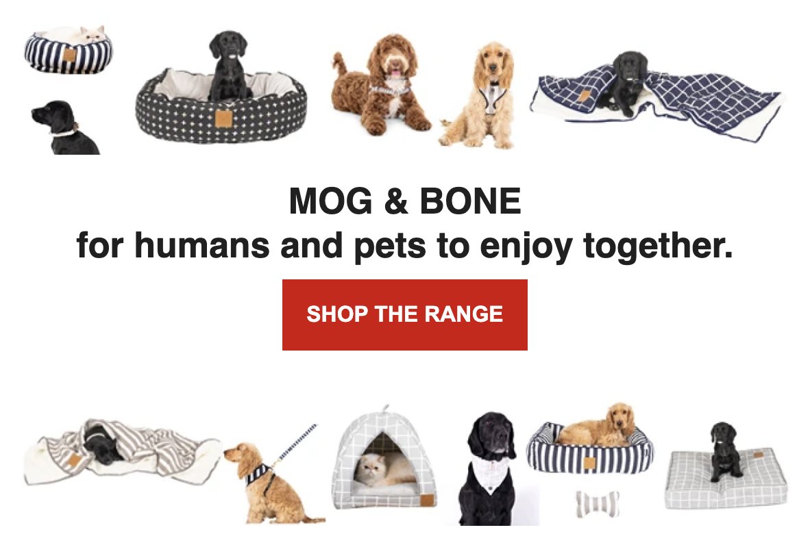 formypetz's tweet photo. SLEEP, WALK, WEAR &amp; MORE with MOG &amp; BONE - https://t.co/fifRC46IgB https://t.co/BoJIMZbSEe