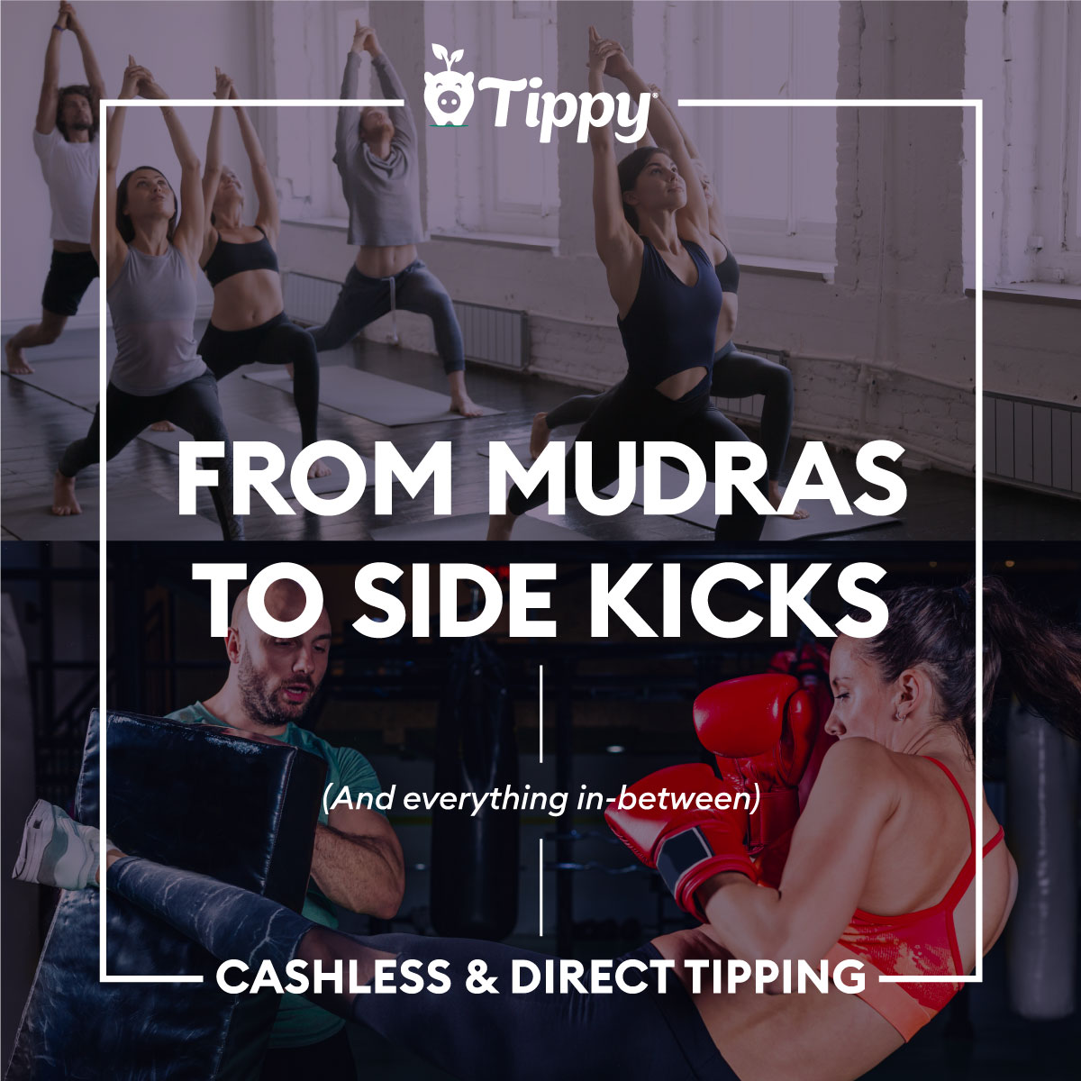 Meet Tippy tweet media