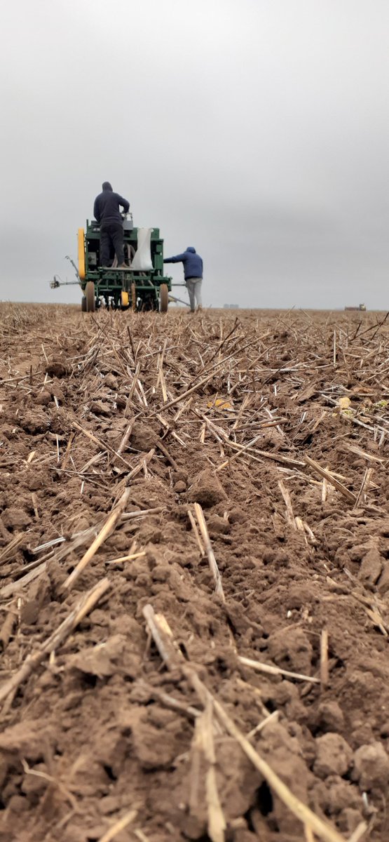 Federico Moreyra tweet media