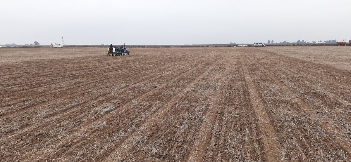 Federico Moreyra tweet media