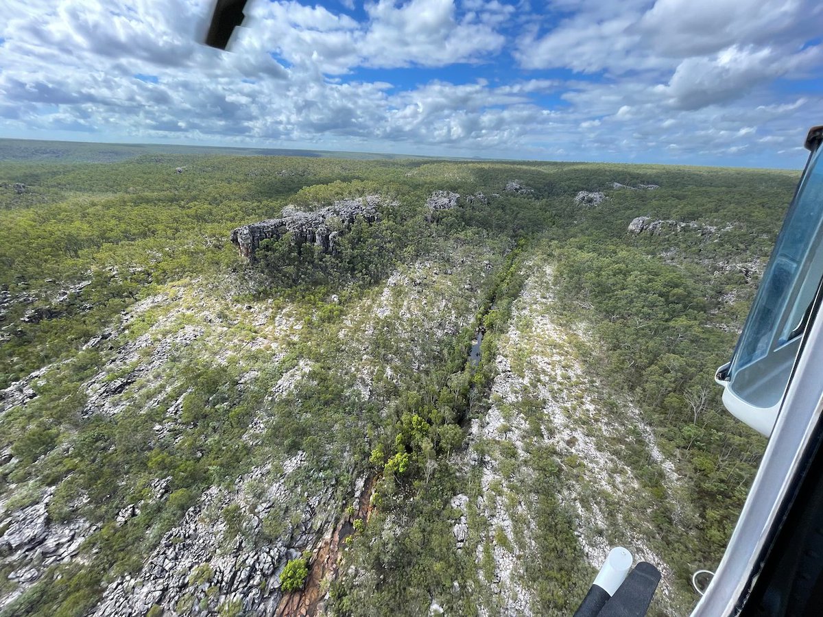 Jodi Rowley tweet media