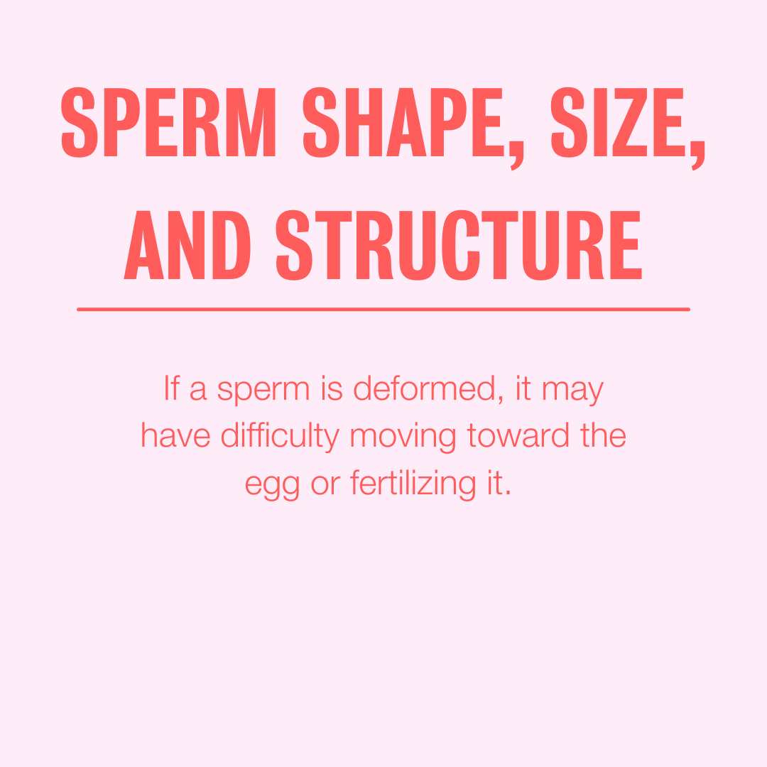 If you think of fertility as something that pertains primarily to women, I hate to tell you: you are wrong. At least 30% of infertility cases can be attributed to male-factor infertility. The first step in male fertility testing is the semen analysis. bit.ly/309iNPs