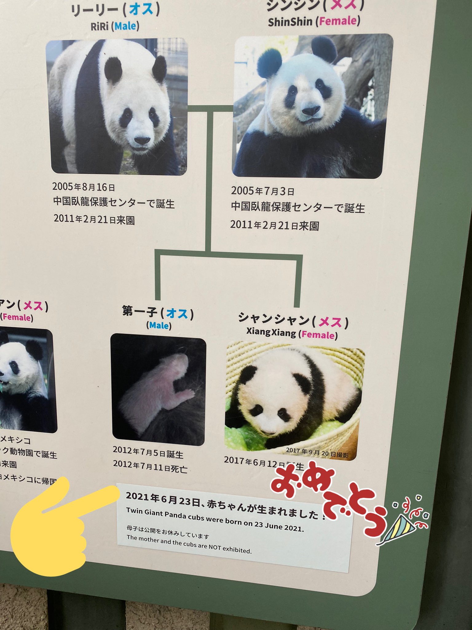 あ シールが貼ってある 上野動物園 パンダ リーリー シンシン シャンシャン 双子の赤ちゃん T Co 5vgxwrhkmq Twitter