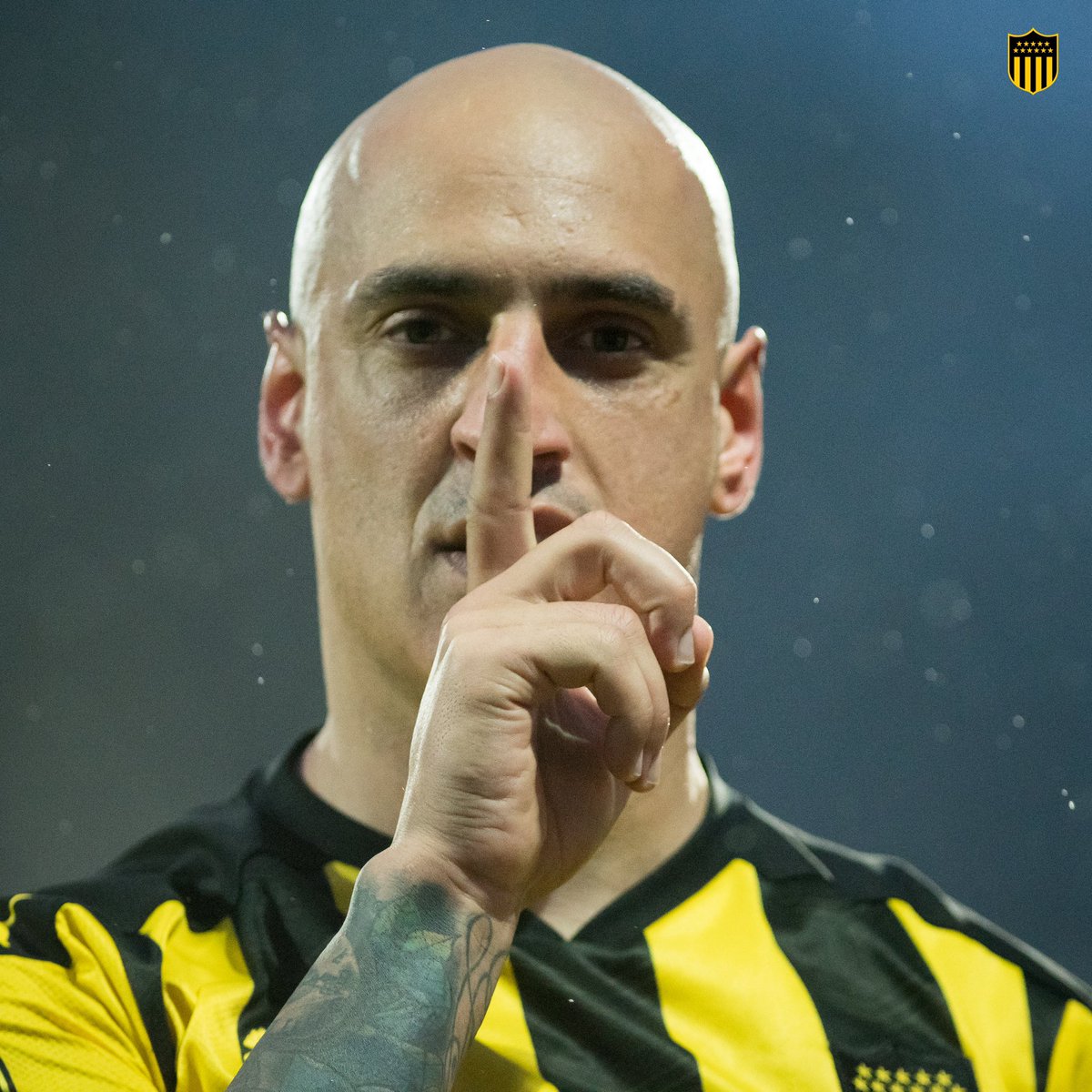 👊 Buenas noches, a descansar…
