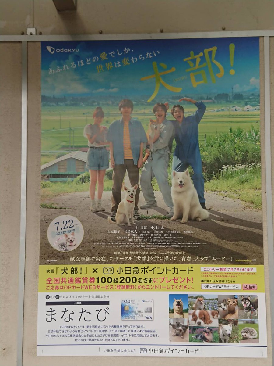 小田急まなたび 公式 本日より小田急線各駅に 小田急 まなたび 映画犬部 コラボの駅貼りポスターが掲出中 犬部 小田急ベストショット キャンペーンで応募していただいた写真も載っています 来週からは違う写真が入った中吊りも掲出されるのでまた