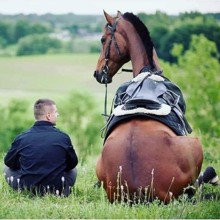 " جَالس جَميل الرّوح تُصيبكَ عدوى جمَالهِ . ❤️
H u s a m