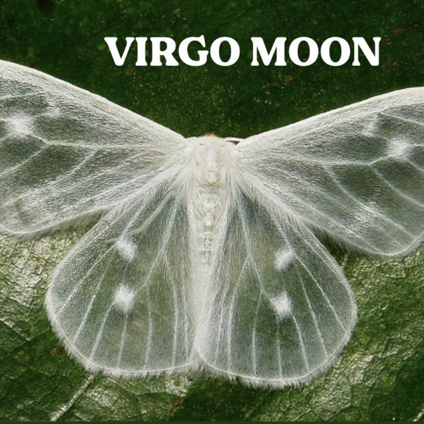 cassidyrdavis2's tweet image. Jeepers!!!!!!