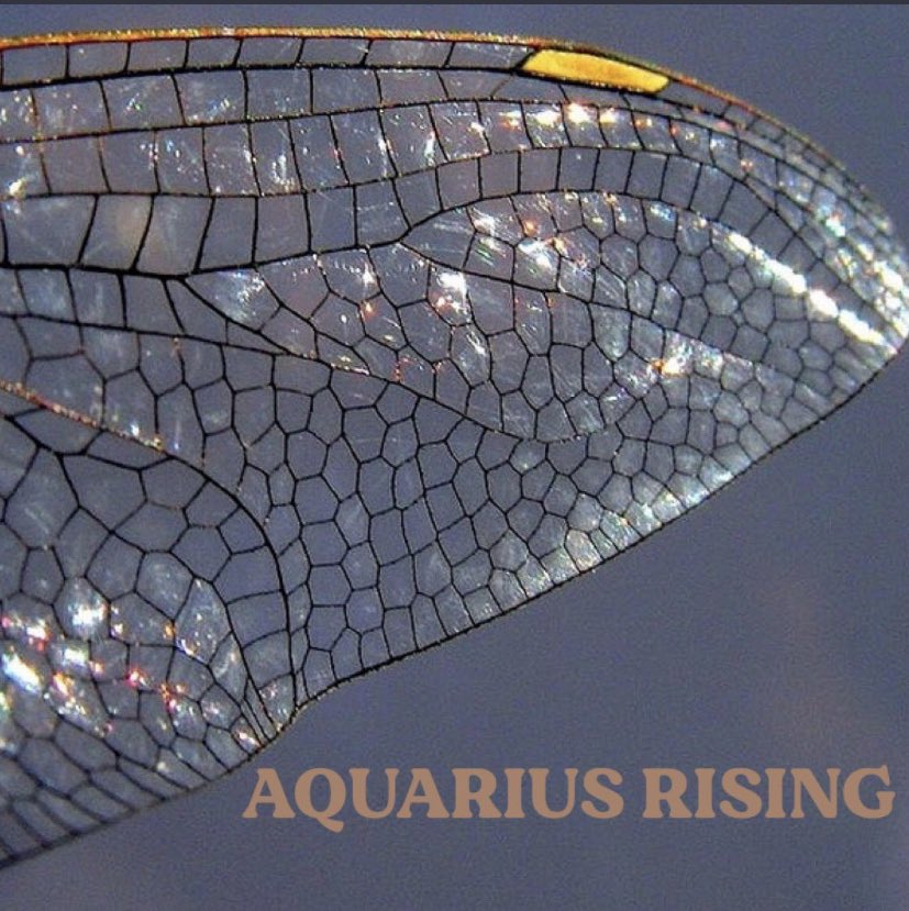 cassidyrdavis2's tweet image. Jeepers!!!!!!