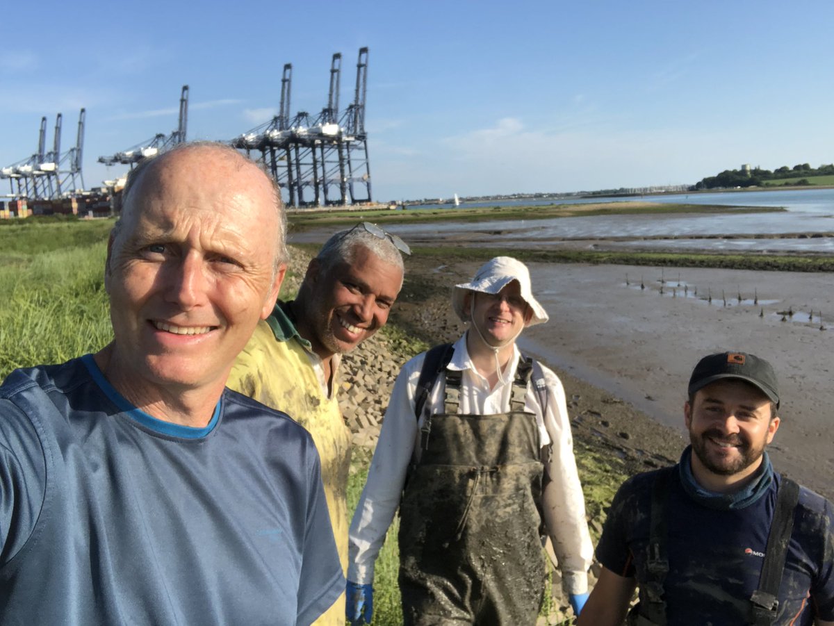 GJCUnderwood's tweet image. Lovely day sampling with @JamesBooty84 @ARIES_DTP. With Trevor Tolhurst, John Green:  6 month long experiment on impact of #shorebirds on #mudflat #biofilm #sediment properties @ResearchEssex @UEAResearch   at Trimley, Orwell #estuary, Suffolk.