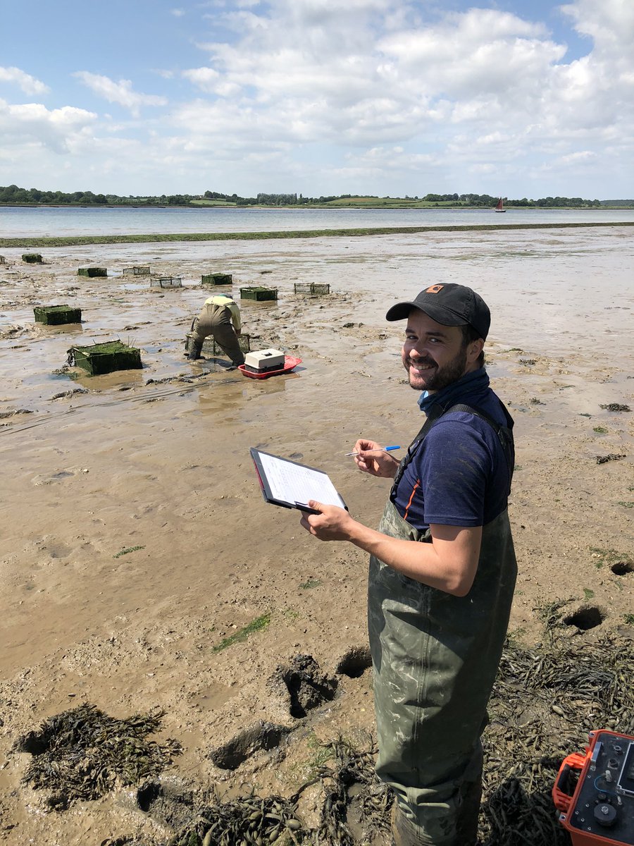 GJCUnderwood's tweet image. Lovely day sampling with @JamesBooty84 @ARIES_DTP. With Trevor Tolhurst, John Green:  6 month long experiment on impact of #shorebirds on #mudflat #biofilm #sediment properties @ResearchEssex @UEAResearch   at Trimley, Orwell #estuary, Suffolk.