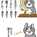 この現象の名は？物わかり良いふりしてなにも覚えてないw