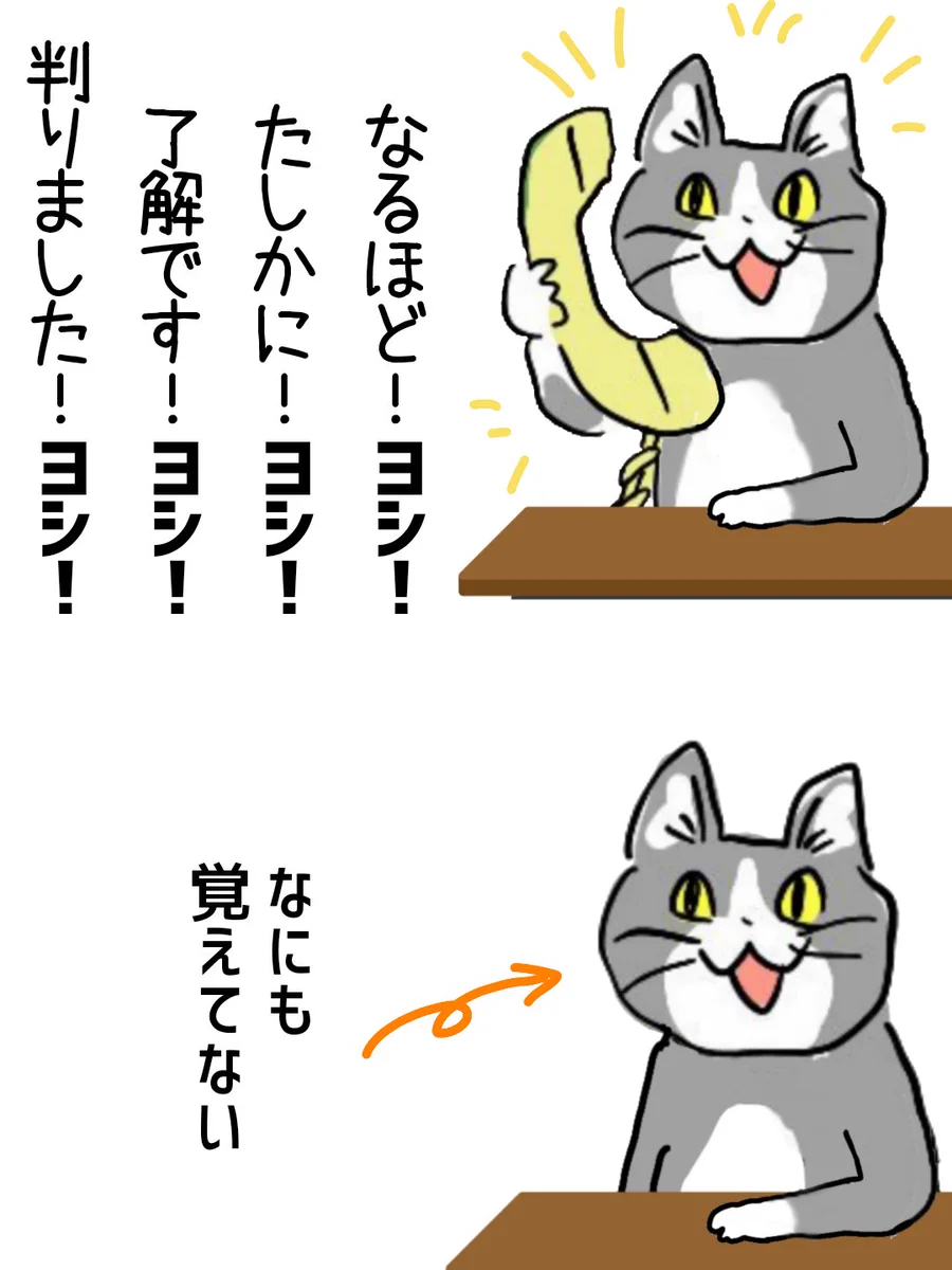 この現象の名は？物わかり良いふりしてなにも覚えてないｗｗ