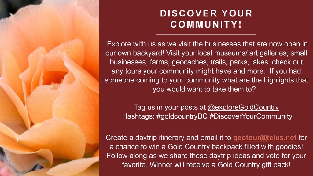 Tag us in your posts at @exploreGoldCountry Hashtags: #goldcountryBC #DiscoverYourCommunity
You can submit your day trip itinerary by email to goldcountry@telus.net .