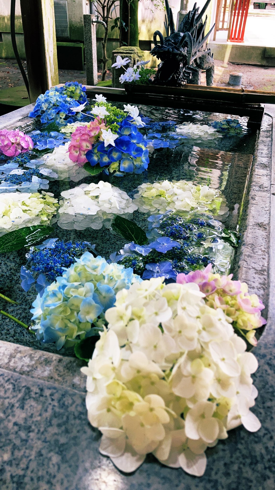 Happy 先日 今宮神社へ紫陽花花手水が今年も綺麗です ただ紫陽花の不作で今月中で紫陽花の花手水は終了 今宮神社 さくら市 紫陽花花手水 紫陽花手水舎 花手水 アジサイ あじさい 紫陽花 栃木県 季節限定御朱印 限定御朱印 神社 T