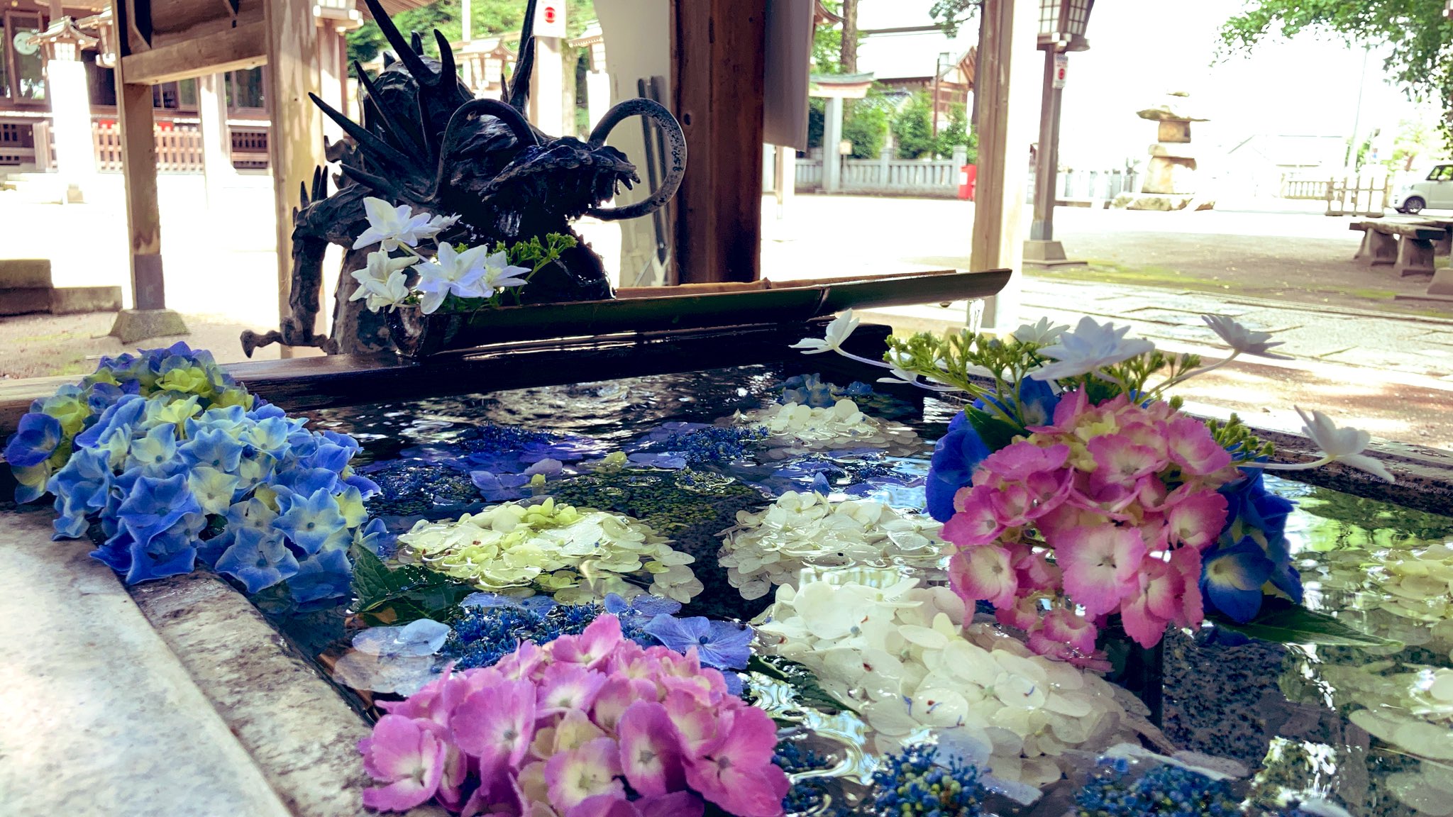 Happy 先日 今宮神社へ紫陽花花手水が今年も綺麗です ただ紫陽花の不作で今月中で紫陽花の花手水は終了 今宮神社 さくら市 紫陽花花手水 紫陽花手水舎 花手水 アジサイ あじさい 紫陽花 栃木県 季節限定御朱印 限定御朱印 神社 T