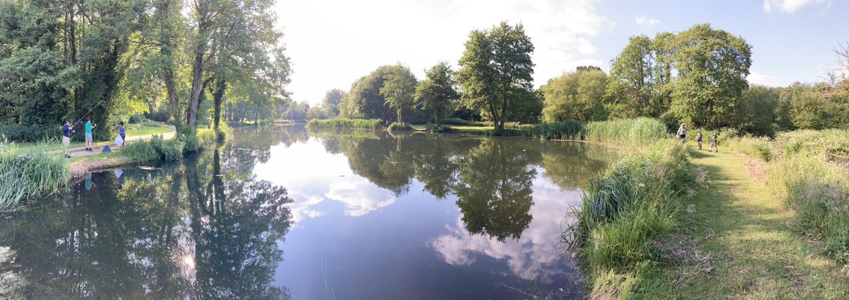 BWS Fishing tweet media