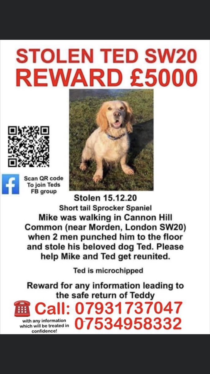 #BringTedhome tweet media