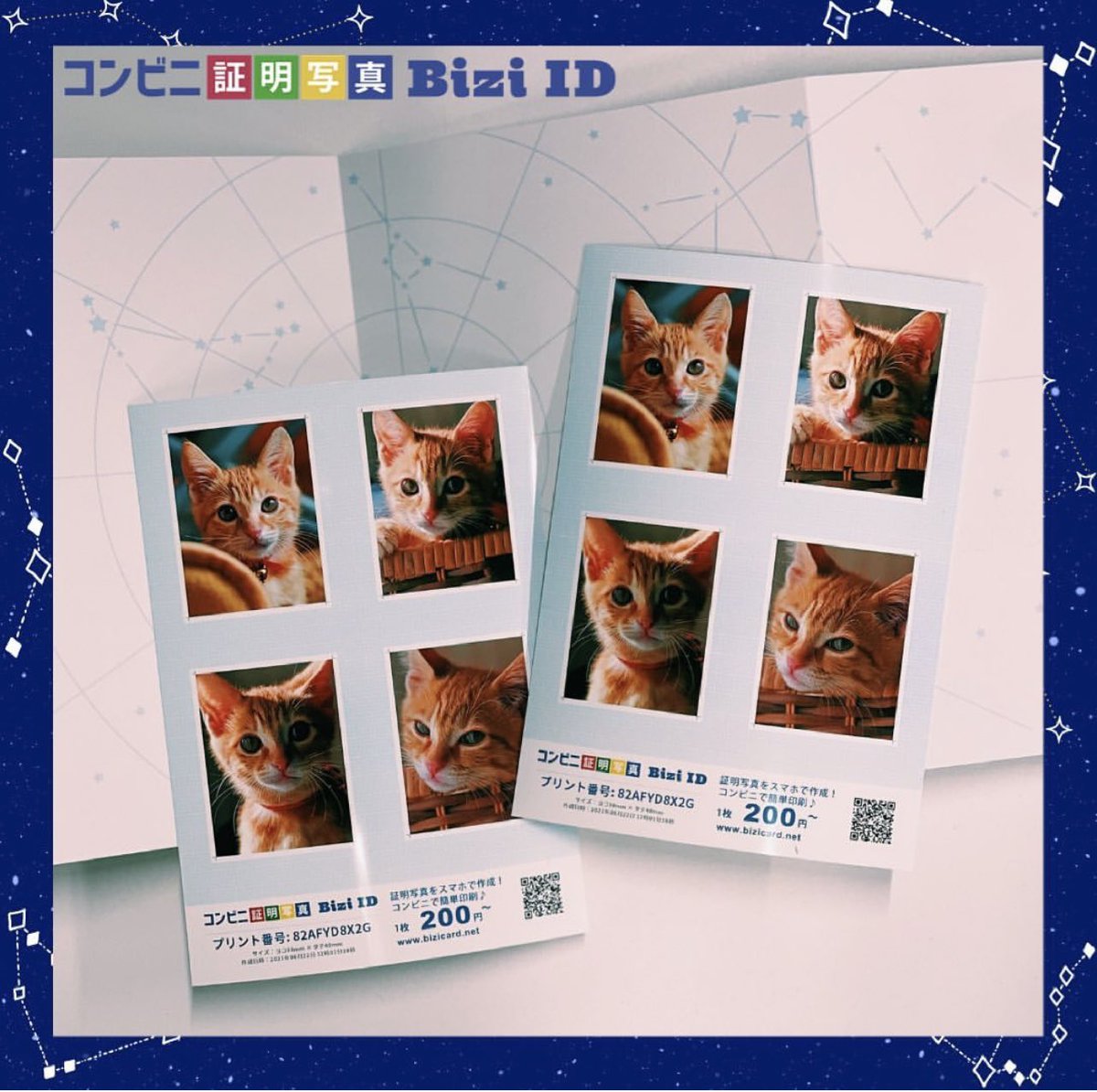 ビジカプリントサービス Youtubeチャネル開設しました Bizicard Twitter