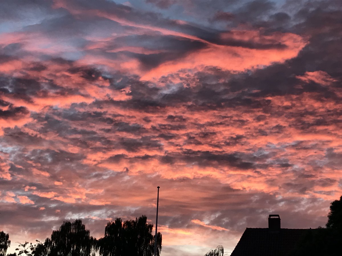 Sami_Badawi's tweet photo. What were the skies like when you were young https://t.co/seaSCZI5NA