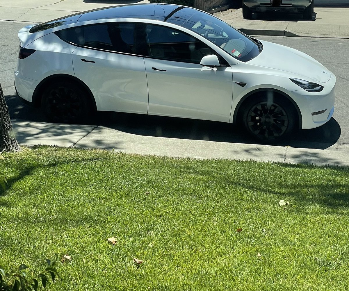 mean macaque tweet media